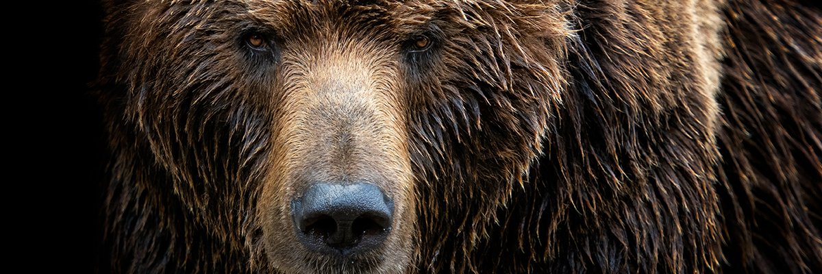 Dolandırıcılar 300+ reklam sahtekarlık uygulamalarını 60m indirme ile Google Play'e gizlice