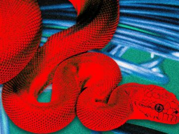 Bu ‘Gizlilik Tarayıcısı’ Tehlikeli Gizli Özelliklere Sahiptir