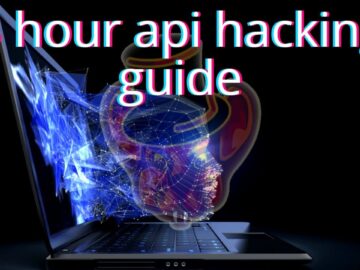 CAPIE: TAM 3 GÜN (8 saat!) API Hacking Eğitim Kampı