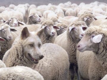 Hackerlar Taktiklerini Geliştirmeye Devam Ediyor