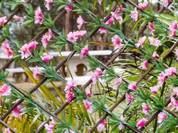 Röportaj: Fausto Fleites, veri istihbaratından sorumlu başkan yardımcısı, ScottsMiracle-Gro