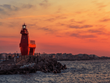 1 milyon kurban, 17.500 sahte site: Google, ücretli dolandırıcılarla mücadele ediyor