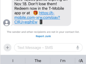 SMS Kimlik Avcıları Puanlara, Vergilere ve Sahte Perakendecilere Yöneliyor – Krebs Güvenlik Konusunda