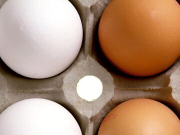 Verileriniz Yumurtaya Ne Kadar Ödeyeceğinizi Belirleyebilir