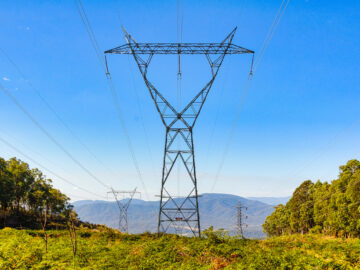 Vic enerji departmanı CIO arıyor